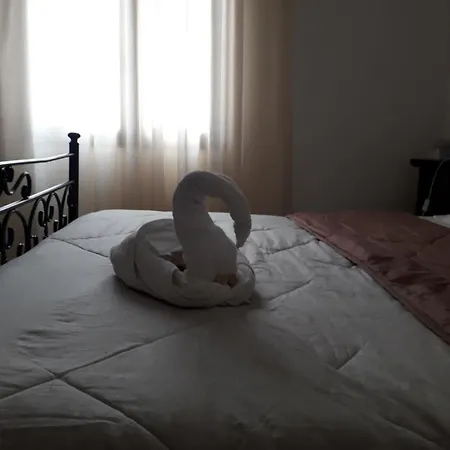 Natoli شاكا